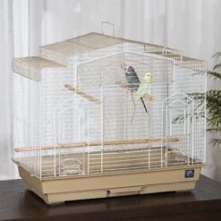 Prevue Pet Products Cockatiel Flight Bird Cage 15 Prevue Pet Products Cockatiel Flight Bird Cage -Sunny Decor Shop 333131 PT4. AC SS1800 V1634162821