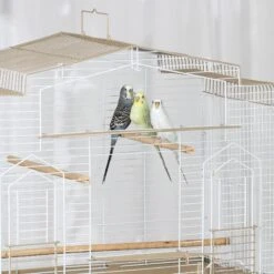 Prevue Pet Products Cockatiel Flight Bird Cage 16 Prevue Pet Products Cockatiel Flight Bird Cage -Sunny Decor Shop 333131 PT5. AC SS1800 V1634159854