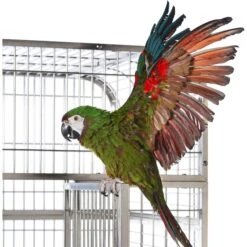 Prevue Pet Products Imperial Stainless Bird Cage -Sunny Decor Shop 333133 PT5. AC SS1800 V1634164591