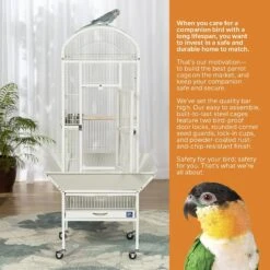 Prevue Pet Products Small Dome Top Bird Cage 18 Prevue Pet Products Small Dome Top Bird Cage -Sunny Decor Shop 333136 PT7. AC SS1800 V1634159511