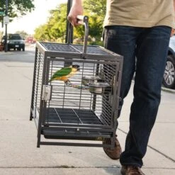 Prevue Pet Products Bird Travel Carrier -Sunny Decor Shop 333142 PT4. AC SS1800 V1634079712