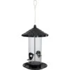 Frisco Acorn Wild Bird Feeder -Sunny Decor Shop 333243 MAIN. AC SS1800 V1646664686