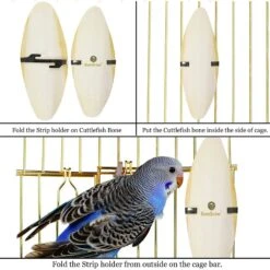 SunGrow Bird Cuttlebones Calcium Health Cockatiels & Parakeets Food 10 SunGrow Bird Cuttlebones Calcium Health Cockatiels & Parakeets Food -Sunny Decor Shop 333268 PT4. AC SS1800 V1632924377