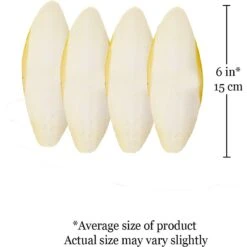 SunGrow Bird Cuttlebones Calcium Health Cockatiels & Parakeets Food 11 SunGrow Bird Cuttlebones Calcium Health Cockatiels & Parakeets Food -Sunny Decor Shop 333268 PT6. AC SS1800 V1646089599