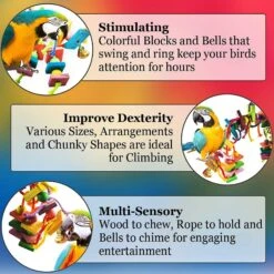 SunGrow Rainbow Foraging Chew Blocks Parakeet & Birds Toys -Sunny Decor Shop 333270 PT1. AC SS1800 V1632924386