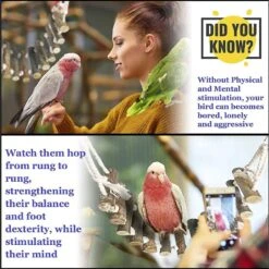 SunGrow Parakeet & Bearded Dragon Ladder Rope Bridge Bird & Reptile Toy -Sunny Decor Shop 333272 PT2. AC SS1800 V1632924384