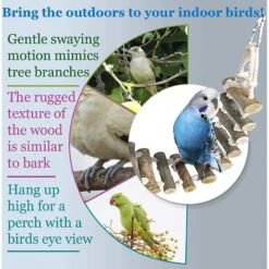 SunGrow Parakeet & Bearded Dragon Ladder Rope Bridge Bird & Reptile Toy -Sunny Decor Shop 333272 PT3. AC SS1800 V1632924383