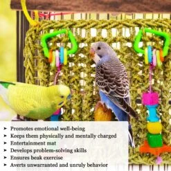 SunGrow Parrot Large Climbing & Cage Hammock Swing Foraging Net & Activity Play Bird & Small-Pet Chew Mat -Sunny Decor Shop 333274 PT2. AC SS1800 V1669095494