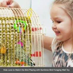 SunGrow Parrot Large Climbing & Cage Hammock Swing Foraging Net & Activity Play Bird & Small-Pet Chew Mat -Sunny Decor Shop 333274 PT4. AC SS1800 V1669099016