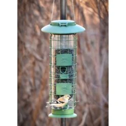 Frisco Squirrel Defense Wild Bird Feeder -Sunny Decor Shop 333277 PT4. AC SS1800 V1646664996