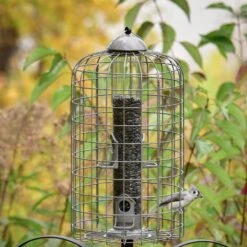 Frisco Ultra Squirrel Defense Wild Bird Feeder -Sunny Decor Shop 333281 PT3. AC SS1800 V1646665002