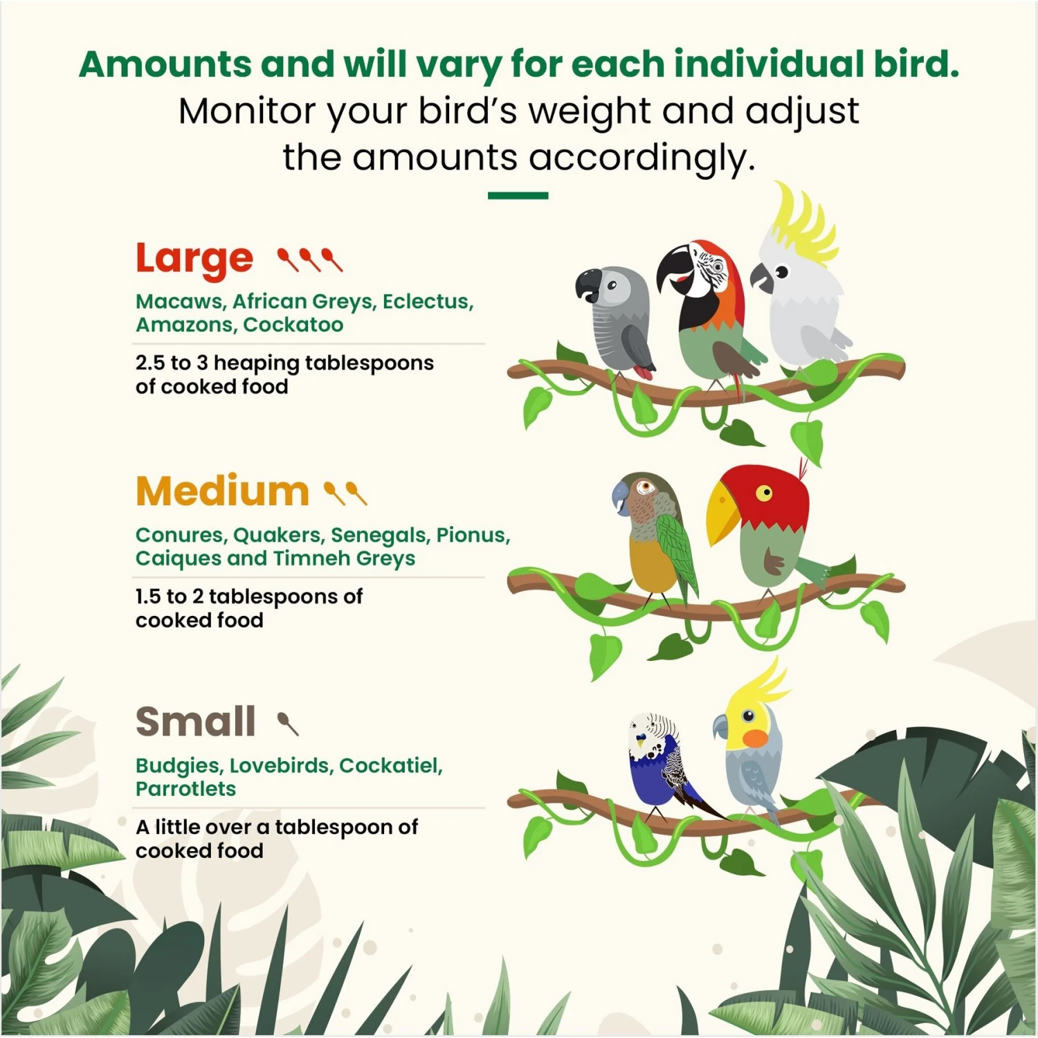 Bird Street Bistro Bean Feast On The Fly Bird Food, 4 Count 8 Bird Street Bistro Bean Feast On The Fly Bird Food, 4 Count - Image 6