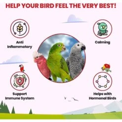 Bird Street Bistro Halcyon Parrot Tea -Sunny Decor Shop 333688 PT1. AC SS1800 V1692383444