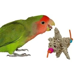 Super Bird Creations Bird Foot Toy Bundle, Small, 4 Count -Sunny Decor Shop 334628 PT1. AC SS1800 V1665669566