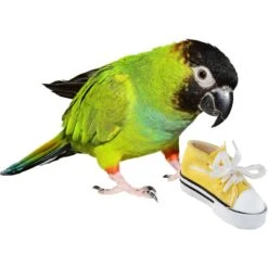 Super Bird Creations Foot Toy Bundle, Medium, 4 Count -Sunny Decor Shop 334629 PT3. AC SS1800 V1665667277