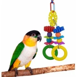 Super Bird Creations Bird Toy Bundle, Medium, 4 Count -Sunny Decor Shop 334632 PT4. AC SS1800 V1665666107