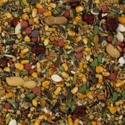 Wild Harvest Advanced Nutrition Seed, Grain & Vegetable Mix Parrot Food, 8-lb Bag -Sunny Decor Shop 336409 PT2. AC SS1800 V1634595080