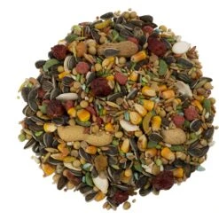 Wild Harvest Advanced Nutrition Seed, Grain & Vegetable Mix Parrot Food, 8-lb Bag -Sunny Decor Shop 336409 PT3. AC SS1800 V1634593610