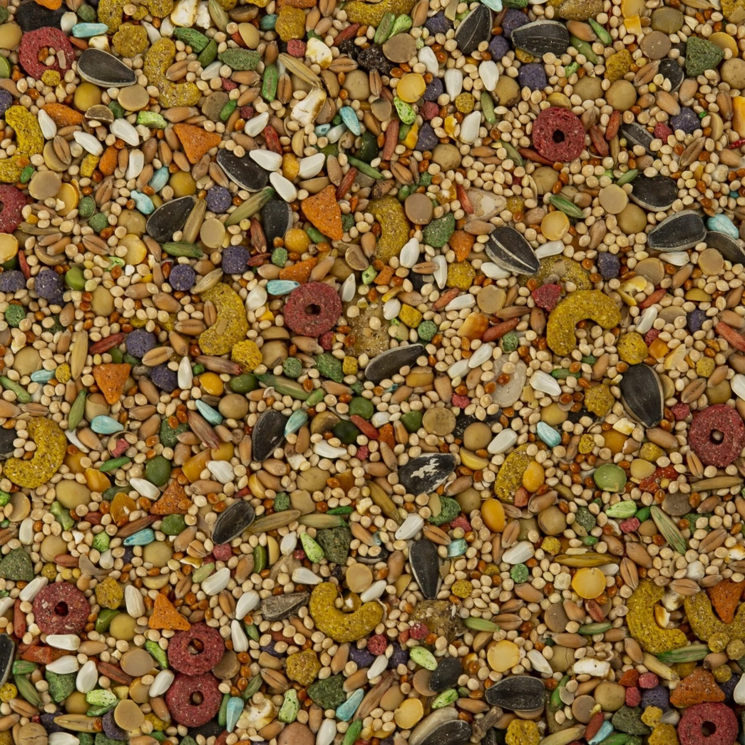 Wild Harvest Advanced Nutrition Seed, Grain & Vegetable Mix Cockatiel Food, 8-lb Bag 5 Wild Harvest Advanced Nutrition Seed, Grain & Vegetable Mix Cockatiel Food, 8-lb Bag - Image 3