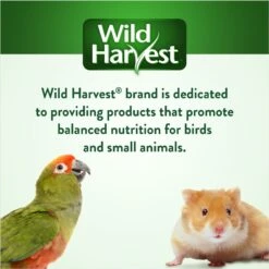 Wild Harvest Daily Blend Nutrition Diet Parakeet Food, 5-lb Bag -Sunny Decor Shop 336413 PT7. AC SS1800 V1675807217