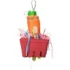 A&E Cage Company The Veggie Basket Bird Toy -Sunny Decor Shop 337343 MAIN. AC SS1800 V1634566633