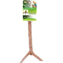 Bird Life Parakeet & Small Bird Perch