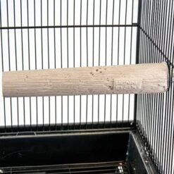 Bird Life Small & Medium Bird Perch, 8-in -Sunny Decor Shop 344251 PT2. AC SS1800 V1683915059