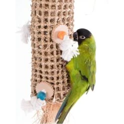 Bird Life Natural Weave Bird Kabob, Medium, 21-in -Sunny Decor Shop 344255 PT2. AC SS1800 V1683915115
