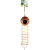 Bird Life Coco-Hide Bird Ladder 2 Bird Life Coco-Hide Bird Ladder -Sunny Decor Shop 344261 MAIN. AC SS1800 V1683915059
