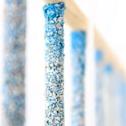 Bird Life Small Bird Ladder, Assorted Colors -Sunny Decor Shop 344275 PT3. AC SS1800 V1668099121