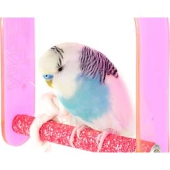 Bird Life Small Bird Swing 12 Bird Life Small Bird Swing -Sunny Decor Shop 344277 PT4. AC SS1800 V1668099179