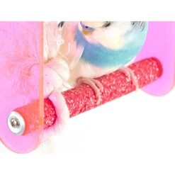 Bird Life Small Bird Swing 13 Bird Life Small Bird Swing -Sunny Decor Shop 344277 PT5. AC SS1800 V1668104568