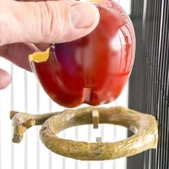 Bird Life Apple Garden Small Bird Cup -Sunny Decor Shop 344281 PT6. AC SS1800 V1668105099