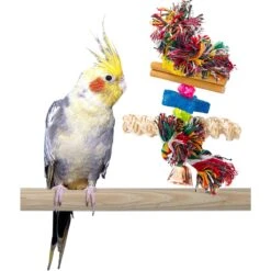Bird Life Cockatiel & Medium Bird Combo-Kabob 9 Bird Life Cockatiel & Medium Bird Combo-Kabob -Sunny Decor Shop 344311 PT3. AC SS1800 V1683915061