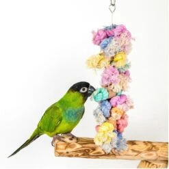 Bird Life Cockatiel & Medium Bird Shaggy-Kabob -Sunny Decor Shop 344313 PT1. AC SS1800 V1683915116