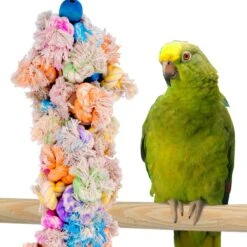Bird Life Parrot & Large Bird Shaggy-Kabob 7 Bird Life Parrot & Large Bird Shaggy-Kabob -Sunny Decor Shop 344317 PT2. AC SS1800 V1683915115