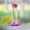 Perky-Pet Our Best Royal Berry Hummingbird Feeder -Sunny Decor Shop 355144 MAIN. AC SS1800 V1640043424