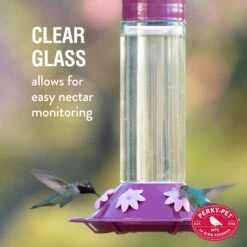 Perky-Pet Our Best Royal Berry Hummingbird Feeder -Sunny Decor Shop 355144 PT1. AC SS1800 V1640044011