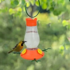 Perky-Pet Vine Oriole Bird Feeder -Sunny Decor Shop 355148 PT1. AC SS1800 V1640039207