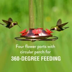 Perky-Pet Elegant Copper Glass Hummingbird Feeder -Sunny Decor Shop 355150 PT2. AC SS1800 V1640040115