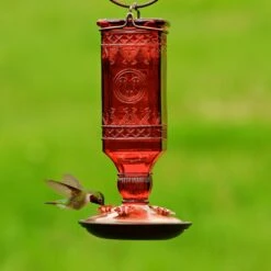 Perky-Pet Square Antique Bottle Glass Hummingbird Feeder -Sunny Decor Shop 355152 PT1. AC SS1800 V1640041294