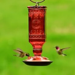 Perky-Pet Square Antique Bottle Glass Hummingbird Feeder -Sunny Decor Shop 355152 PT2. AC SS1800 V1640044978