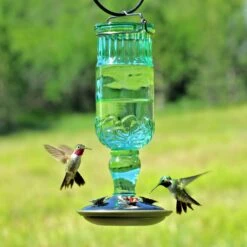 Perky-Pet Antique Bottle Hummingbird Feeder -Sunny Decor Shop 355154 PT2. AC SS1800 V1640039550