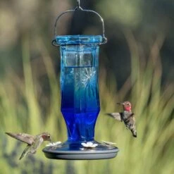 Perky-Pet Sapphire Starburst Vintage Hummingbird Feeder -Sunny Decor Shop 355156 PT1. AC SS1800 V1640039585