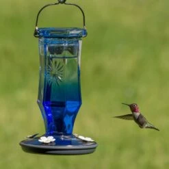 Perky-Pet Sapphire Starburst Vintage Hummingbird Feeder -Sunny Decor Shop 355156 PT3. AC SS1800 V1640044609