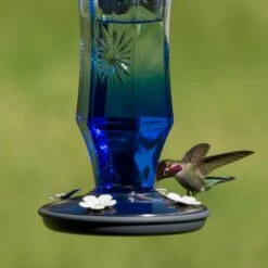 Perky-Pet Sapphire Starburst Vintage Hummingbird Feeder -Sunny Decor Shop 355156 PT4. AC SS1800 V1640040723