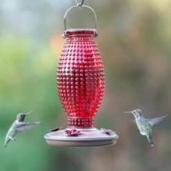 Perky-Pet Red Hobnail Vintage Hummingbird Feeder -Sunny Decor Shop 355158 PT1. AC SS1800 V1640040134