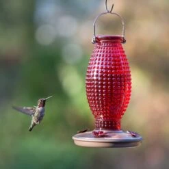 Perky-Pet Red Hobnail Vintage Hummingbird Feeder -Sunny Decor Shop 355158 PT3. AC SS1800 V1640040774