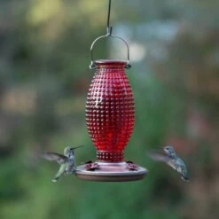 Perky-Pet Red Hobnail Vintage Hummingbird Feeder -Sunny Decor Shop 355158 PT4. AC SS1800 V1640041909