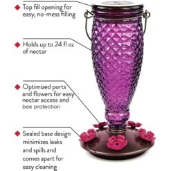 Perky-Pet Diamond Wine Top-Fill Glass Hummingbird Feeder -Sunny Decor Shop 355164 PT1. AC SS1800 V1640040692